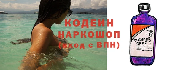 молекула духа Слюдянка