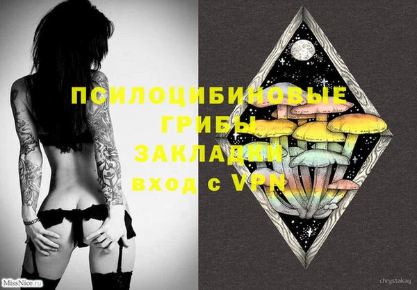 ECSTASY Снежногорск