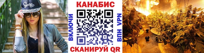 Купить закладки  Чекалин  Бошки Шишки LSD WEED 